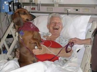 dog-with-person-in-hospital
